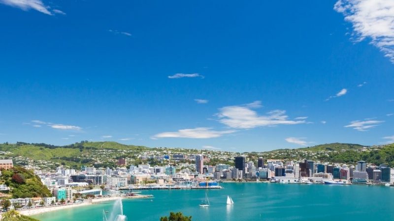 Pictures - Website